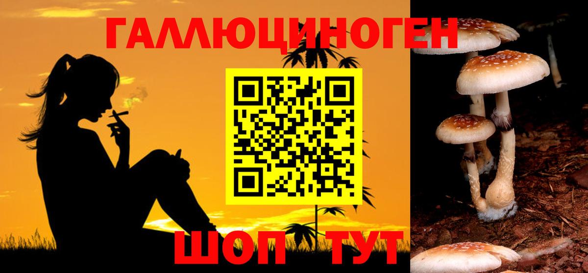 Галлюциногенные грибы прущие грибы Наро-Фоминск